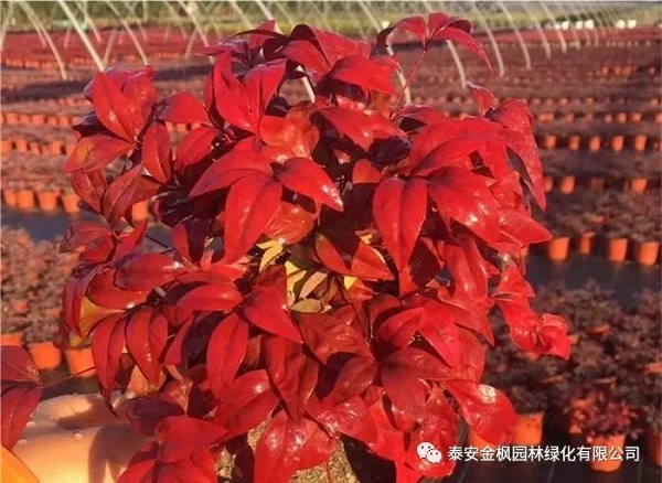 微信圖片_20220723161401