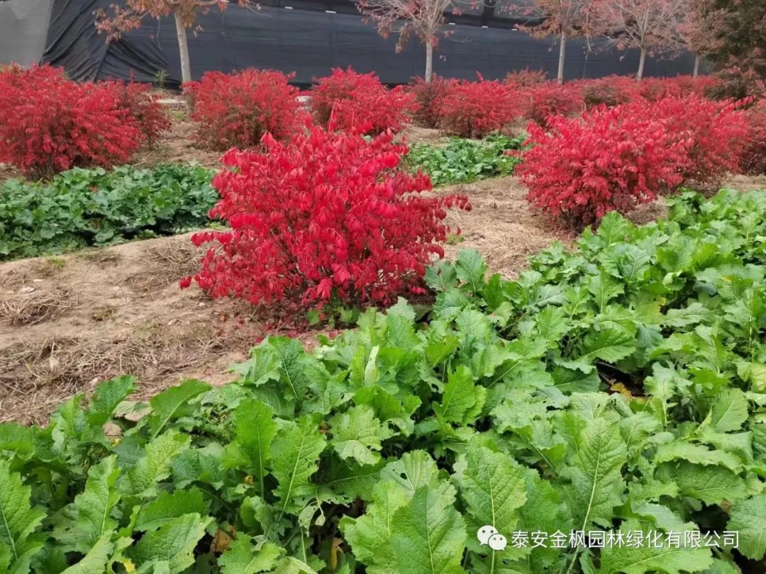 微信圖片_20230130101406 微信圖片_20230130101406