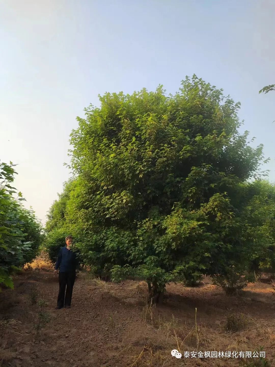 微信圖片_20230130102337 微信圖片_20230130102337